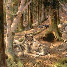 Схема вышивки «Семья волков»