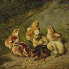 Схема вышивки «Куриное семейство»