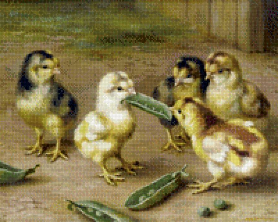 0181 - картина, птицы, красота, лето, природа, цыпленок - предпросмотр