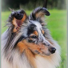 Схема вышивки «0183»