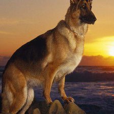 Схема вышивки «0184»