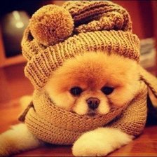 Схема вышивки «Щенок»