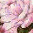 Предпросмотр схемы вышивки «букет» (№587390)