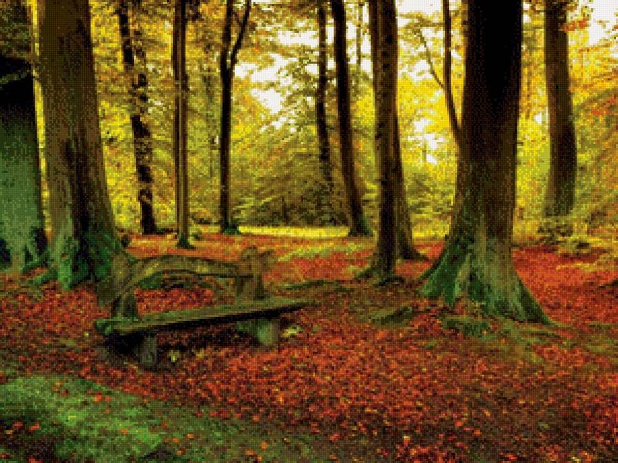 Скамейка в лесу - скамейка - предпросмотр