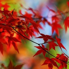 Схема вышивки «осень»