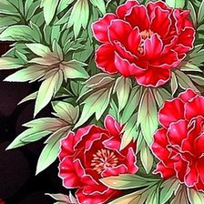 Схема вышивки «пионы»