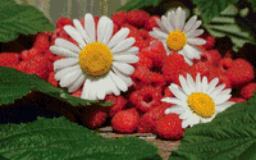 ромашки - цветы, ромашки, малина, природа - предпросмотр