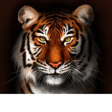 Схема вышивки «тигр4»