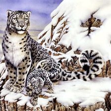 Схема вышивки «барс»