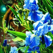 Схема вышивки «№587701»