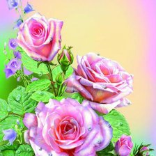 Схема вышивки «№587702»