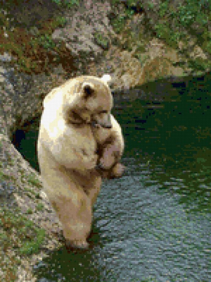 у воды - природа водоема - предпросмотр