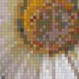 Предпросмотр схемы вышивки «мечта» (№587796)