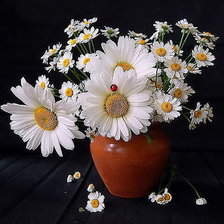 Схема вышивки «мечта»