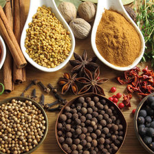 Схема вышивки «специи»