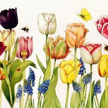 Схема вышивки «Тюльпаны»