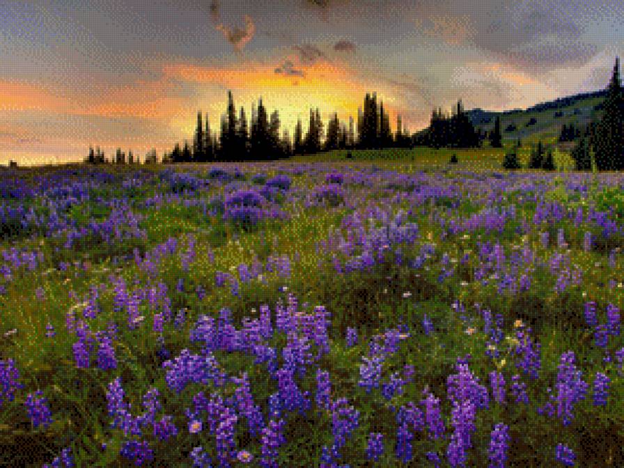 ПОЛЕ - предпросмотр