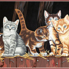 Кошачий квинтет