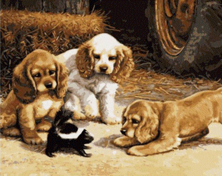 Знакомство - животные, собаки - предпросмотр