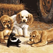 Знакомство