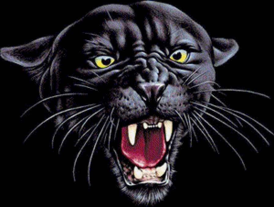 Пантера - пантера - предпросмотр