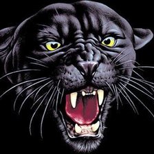 Схема вышивки «Пантера»