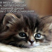 Схема вышивки «милаха»