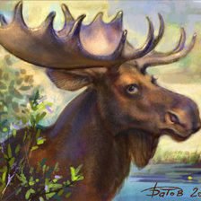 Схема вышивки «лось»