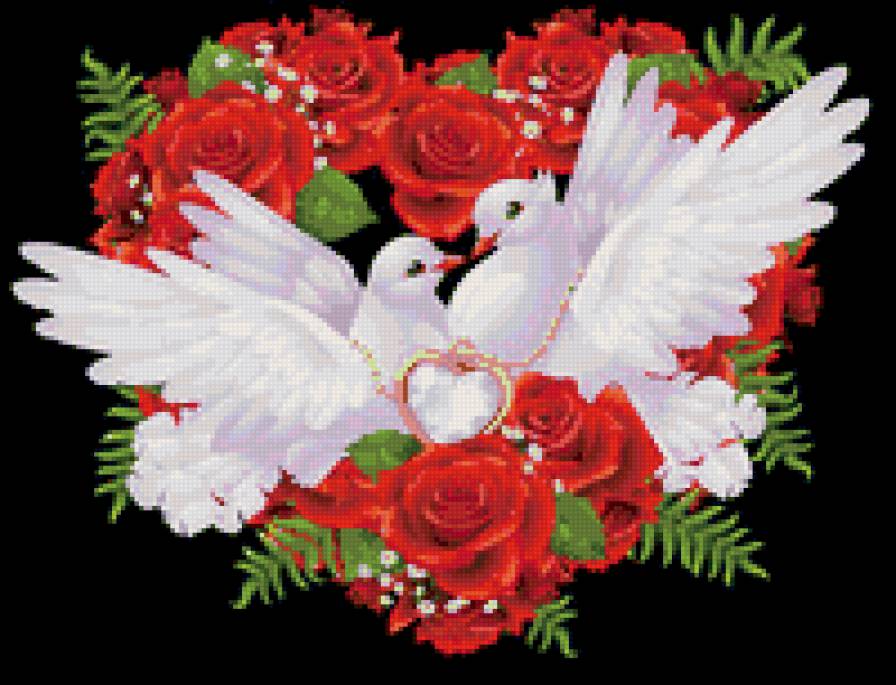 голуби - голуби, цветы - предпросмотр