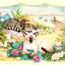 Схема вышивки «Кот на отдыхе»