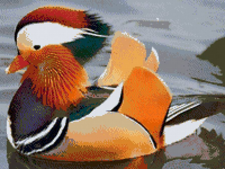 Мандаринка - предпросмотр