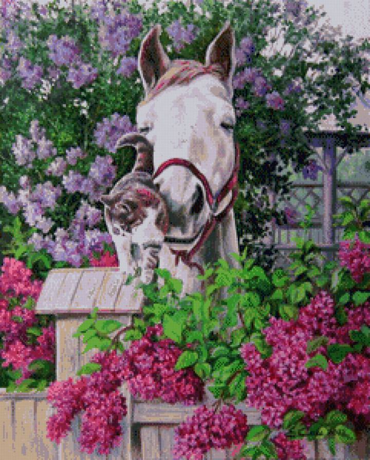 Лошадь - животные, природа - предпросмотр