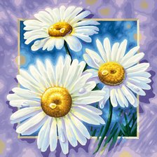 Схема вышивки «Ромашки»