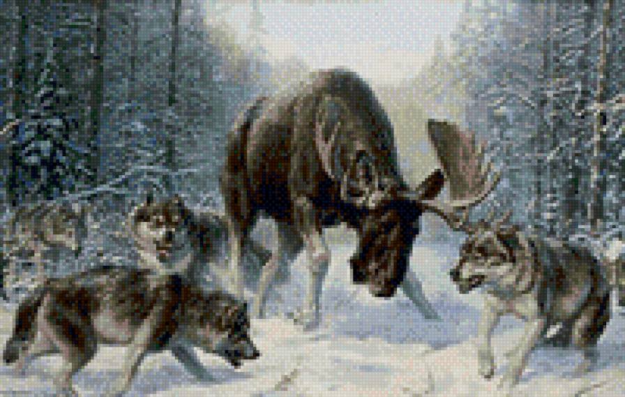 охота - охота, волки, лось. обед, природа, лес, добыча - предпросмотр