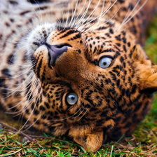 Схема вышивки «привет!»