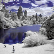 Схема вышивки «природа»