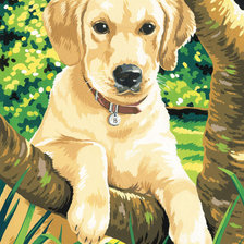 Схема вышивки «Щенок»