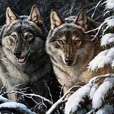 Схема вышивки «Волки»