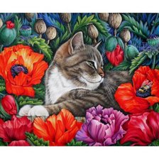 Схема вышивки «отдых в маках»