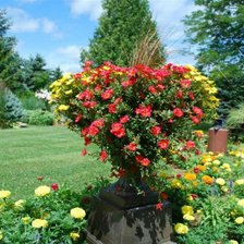 Схема вышивки «серия "парки"»