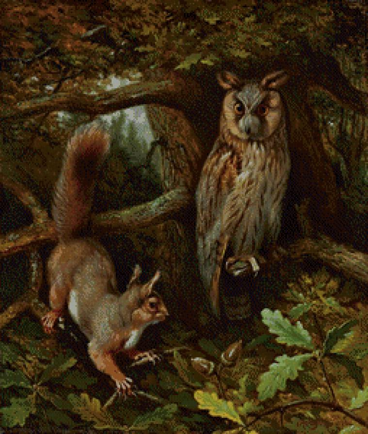 в лесу - животные, лес, сова, белка - предпросмотр