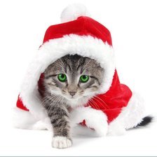 Схема вышивки «котенок»