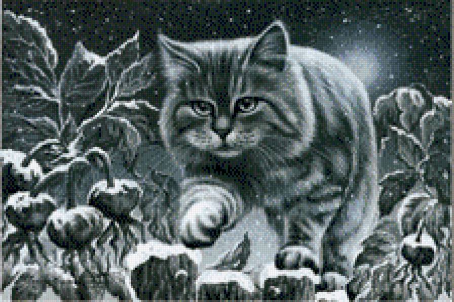 кот - ночь, кот - предпросмотр