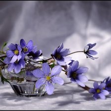 Схема вышивки «голубой натюрморт»