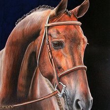 Схема вышивки «конь»