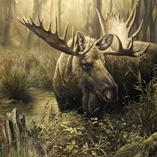 Схема вышивки «лось»