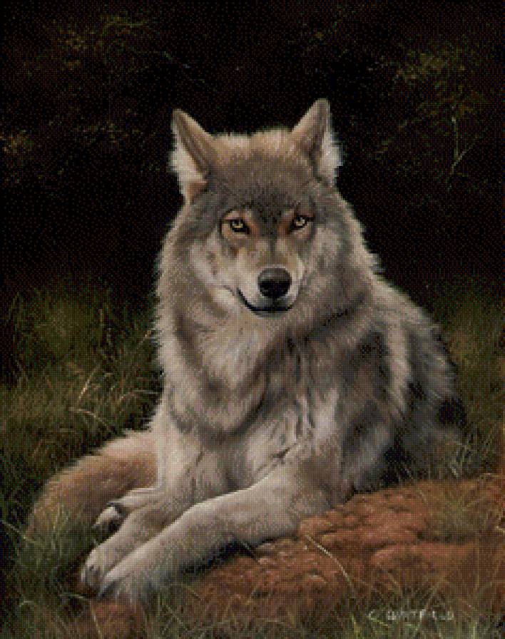 волк - картина - предпросмотр