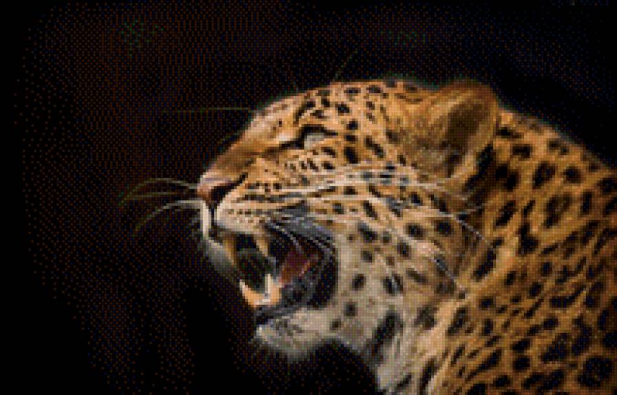 ягуар - предпросмотр