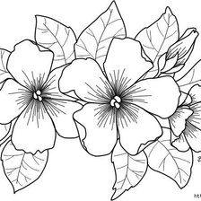 Схема вышивки «цветы на подушку»