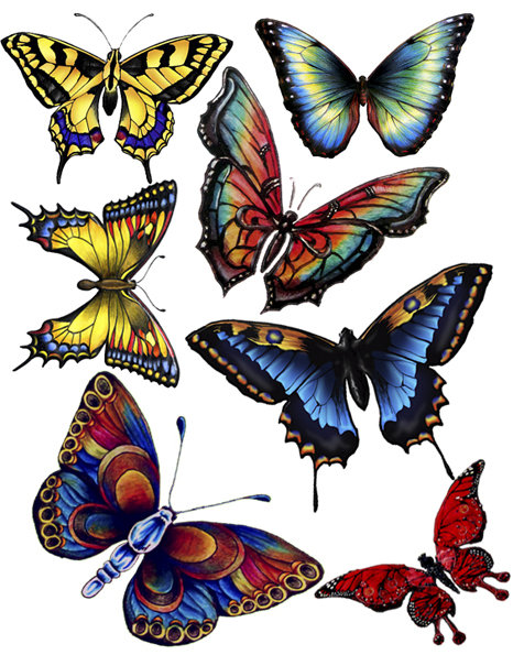 бабочки - оригинал